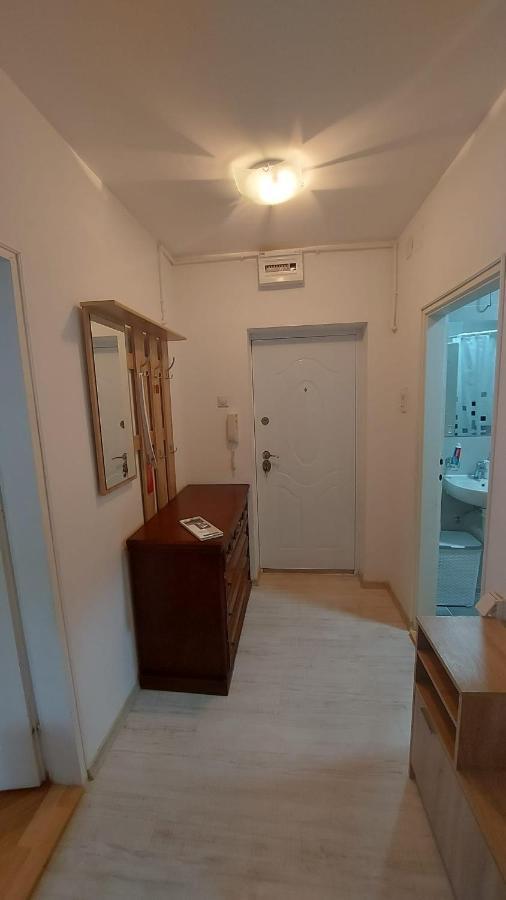 Apartman Milica Vrsac Exterior photo