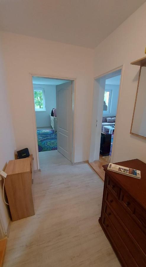 Apartman Milica Vrsac Exterior photo
