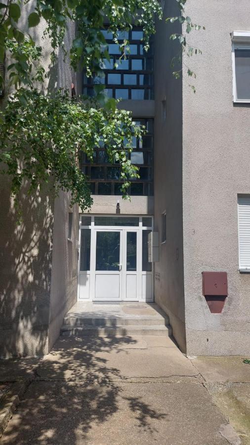 Apartman Milica Vrsac Exterior photo
